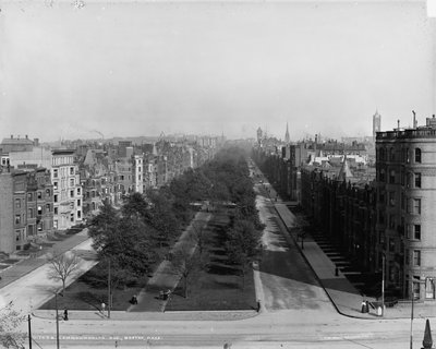 Commonwealth Ave., Boston, Massachusetts, c.1904 da Detroit Publishing Co.